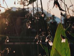 -四海公园(南山区)