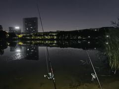 -大兴滨河森林公园