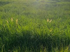 -汉长安城未央宫国家考古遗址公园