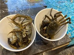 -金马门国际美食百汇(珞喻路店)