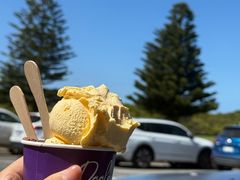 -Dooley's Premium Ice Cream