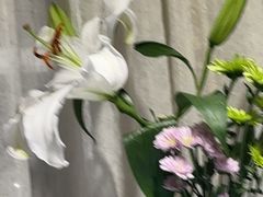 -慢丽江·云南野生菌土鸡锅(付家庄店)