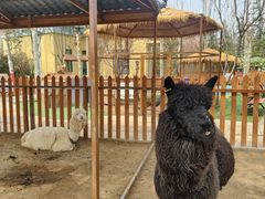 -郑州方特梦幻王国