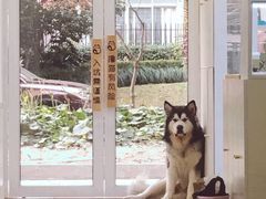 -李小姐の猫咖啡馆(五角场店)