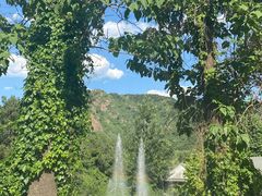 -燕塞湖鸟语林景区