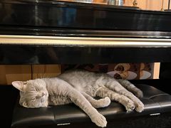 -猫岛主趣味餐厅(鼓浪屿店)
