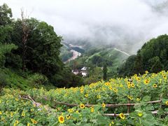 -石潭村
