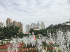 -龙环葡韵住宅式博物馆
