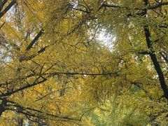 -四川大学(华西校区)