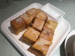 -南枝记