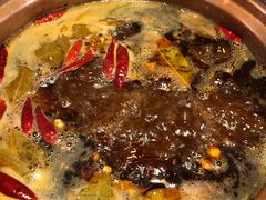 -镇江龙·火锅串串(武侯祠店)