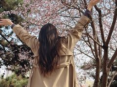 -迎泽公园