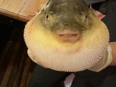 -永安鱼庄·镇江菜(丁卯店)