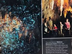 -怀托摩萤火虫洞