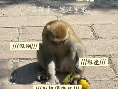 -黔灵山公园