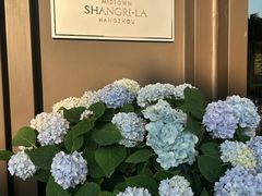 -杭州城中香格里拉大酒店