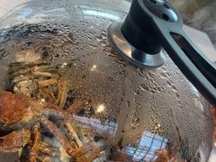 -半岛听涛蒸汽海鲜自助(K11店)
