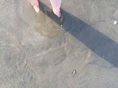 iphone_upload_pic-江山半岛白浪滩景区