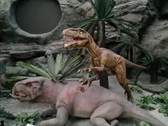 -国家自然博物馆