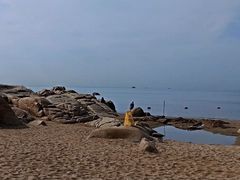 -老虎石海上公园