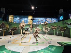 -国家自然博物馆