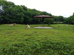 -宁波野生动物园