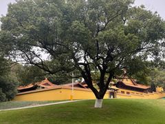 -太子山公园(园东路)