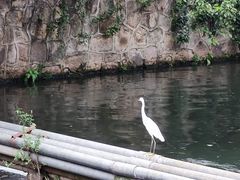-浙江大学(玉泉校区)
