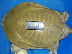 -八仔大富楼·河鲜(西江店)