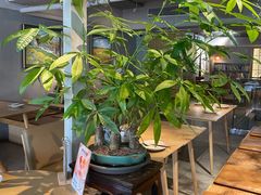 -本处·素食·融合料理(南油店)