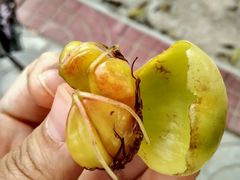 android_upload_pic-红色娘子军纪念园