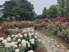 -国家植物园南园