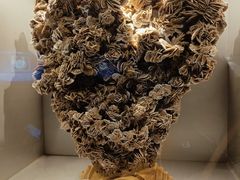 -甘肃地质博物馆