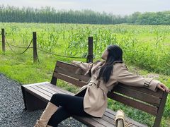 -汉长安城未央宫国家考古遗址公园