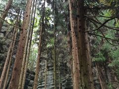 -梭布垭石林景区