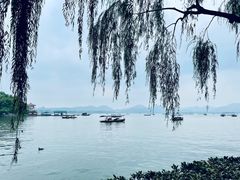 -西湖外事游船(花港观鱼码头)