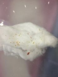 -蕾特恩祛痘•皮肤管理