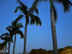 -厦门国家会计学院