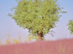 -汉长安城未央宫国家考古遗址公园