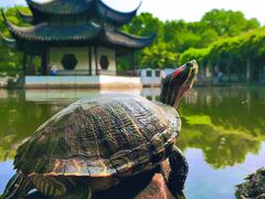 -西园戒幢律寺