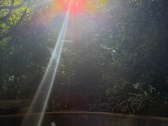 -腾冲洞山温泉村