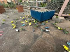 -南宫五洲植物乐园