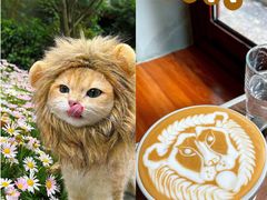 -SAFARI COFFEE