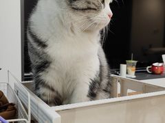 -子乐宠物医院