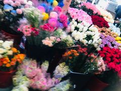 -越秀西湖花市(广州城市广场花卉店)