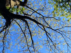 -终南山南五台景区