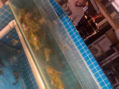 -星伦多自助料理(花山金鹰店)