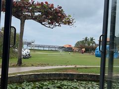 -渔家火锅·海鲜自助餐·演艺(亚龙湾天域酒店)