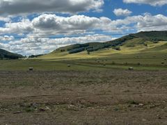 -塞罕坝国家级自然保护区