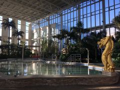 -中家鑫园温泉酒店鑫悦汤泉